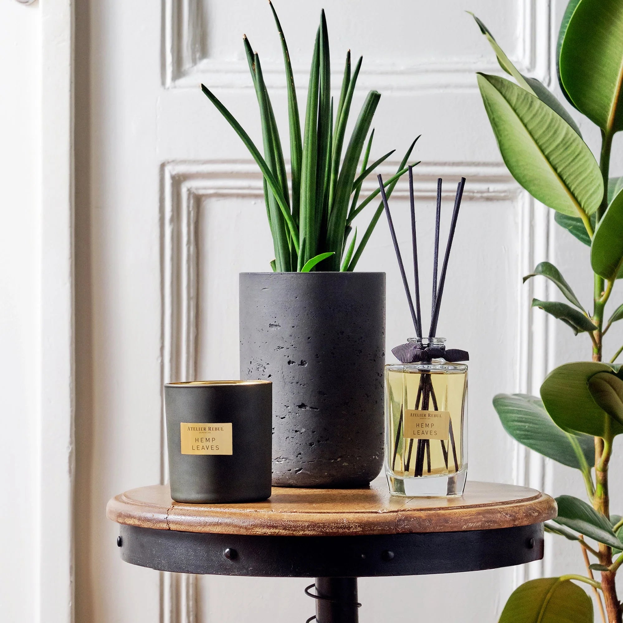 Atelier Rebul - Hemp Leaves Scented Candle 210 g